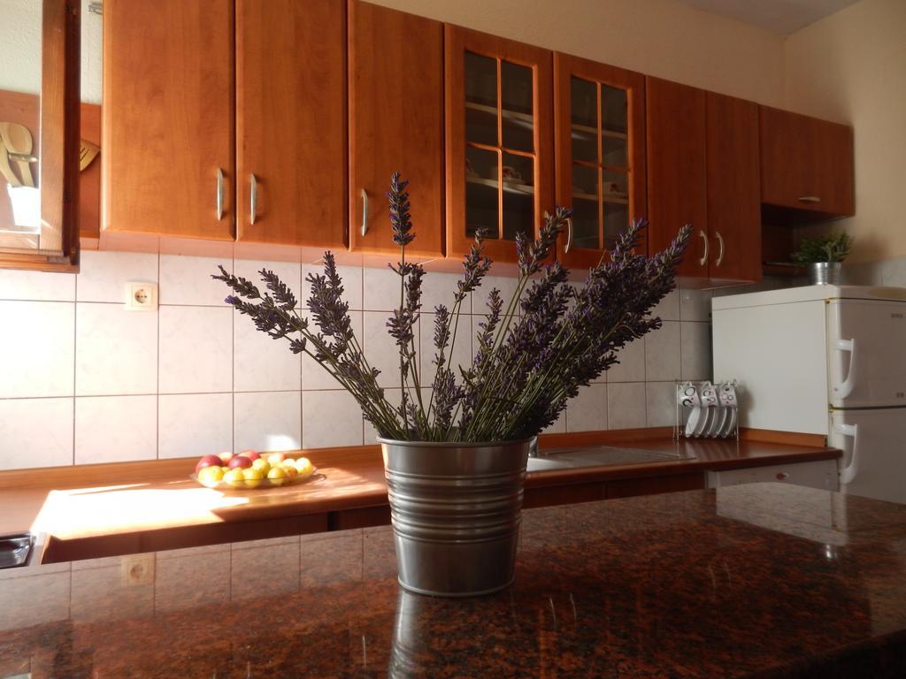 טרוגיר Guesthouse Aria חדר תמונה