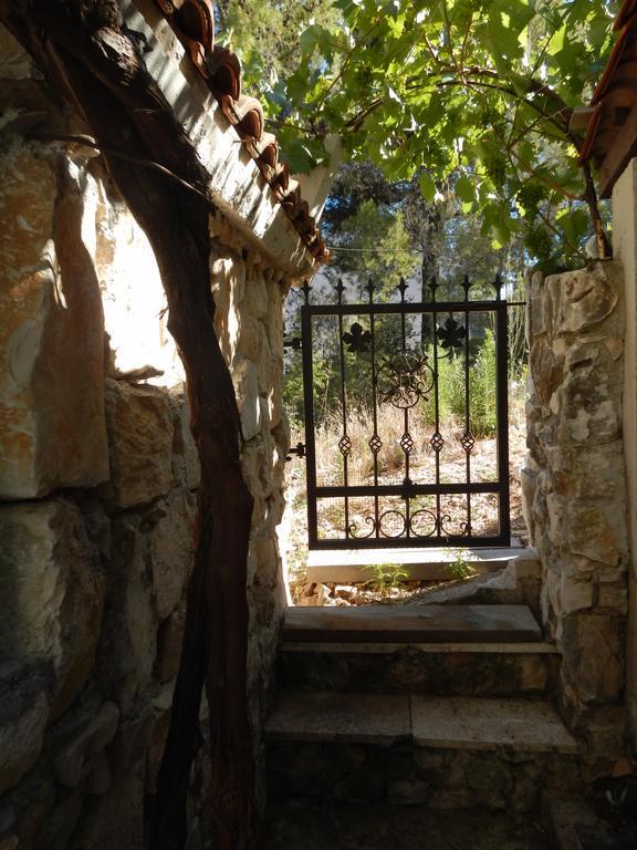 טרוגיר Guesthouse Aria חדר תמונה